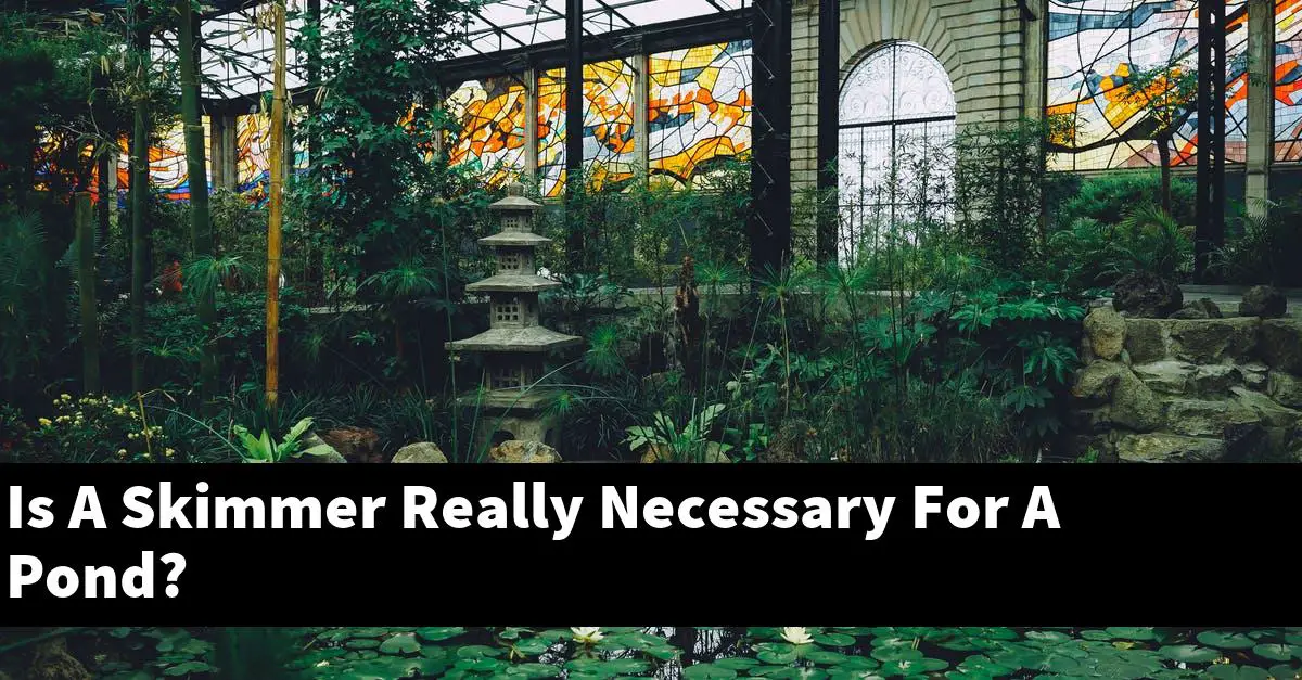 Is A Skimmer Really Necessary For A Pond?