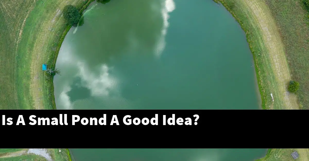Is A Small Pond A Good Idea?