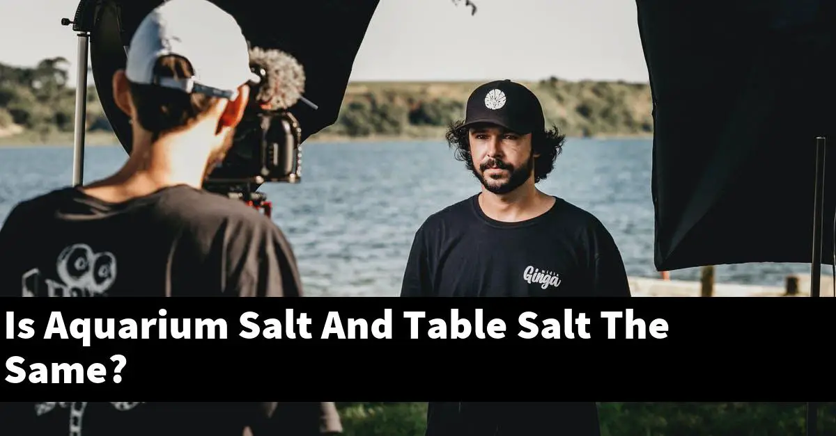 Is Aquarium Salt And Table Salt The Same?