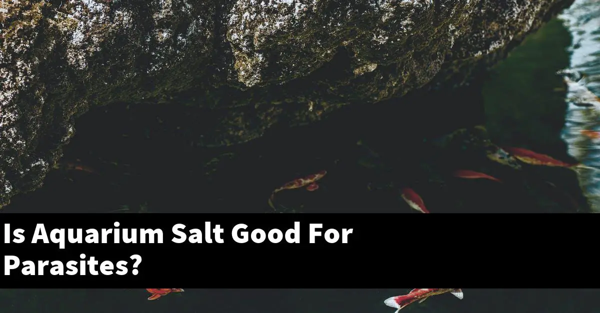 Is Aquarium Salt Good For Parasites?
