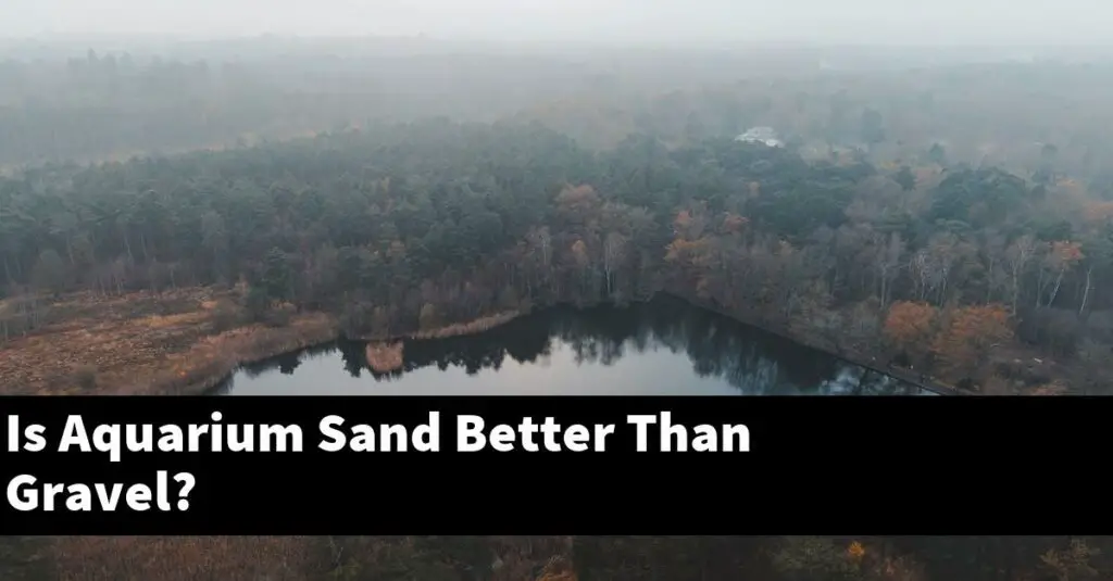 Is Aquarium Sand Better Than Gravel? [2024 Guide] Gold Koi Fish