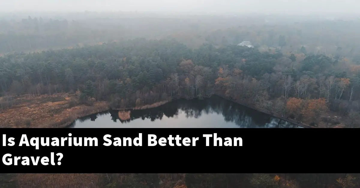 Is Aquarium Sand Better Than Gravel?
