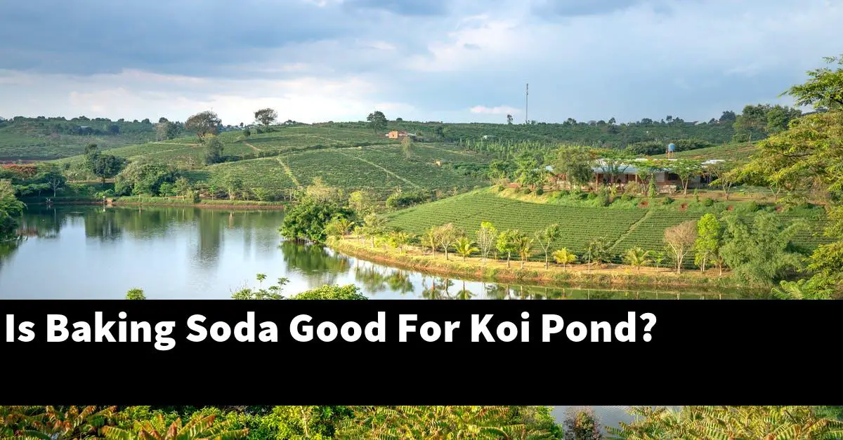 Is Baking Soda Good For Koi Pond?