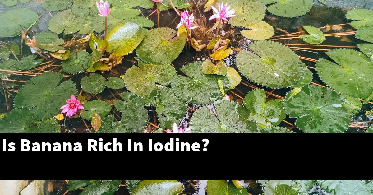 Is Banana Rich In Iodine?
