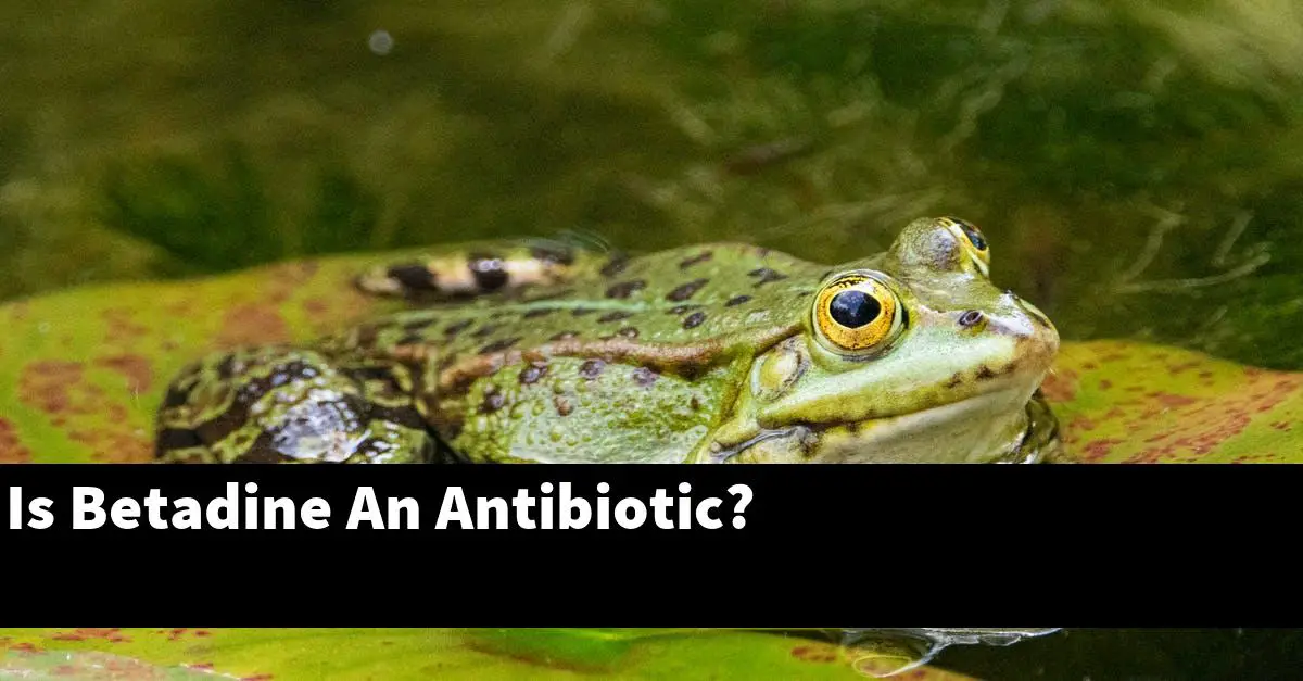 Is Betadine An Antibiotic?