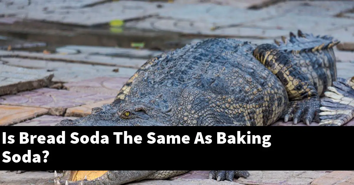 Is Bread Soda The Same As Baking Soda?