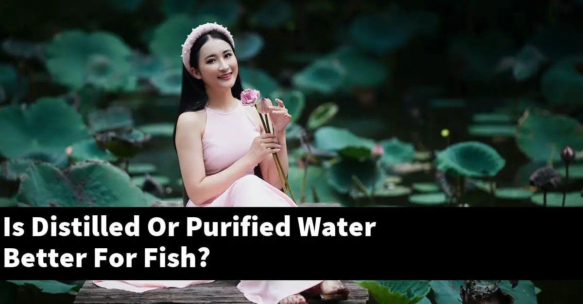 Is Distilled Or Purified Water Better For Fish?