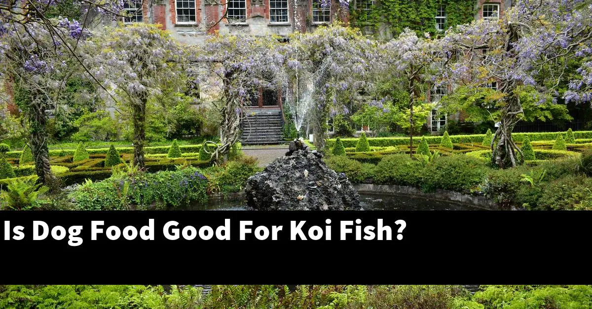 Is Dog Food Good For Koi Fish?
