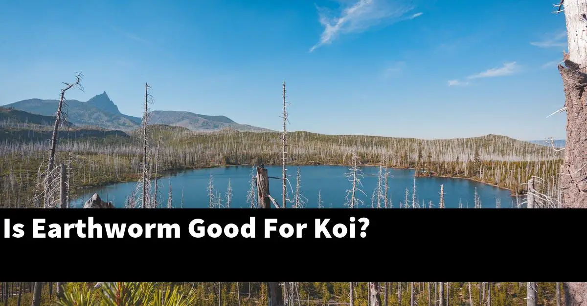 Is Earthworm Good For Koi?