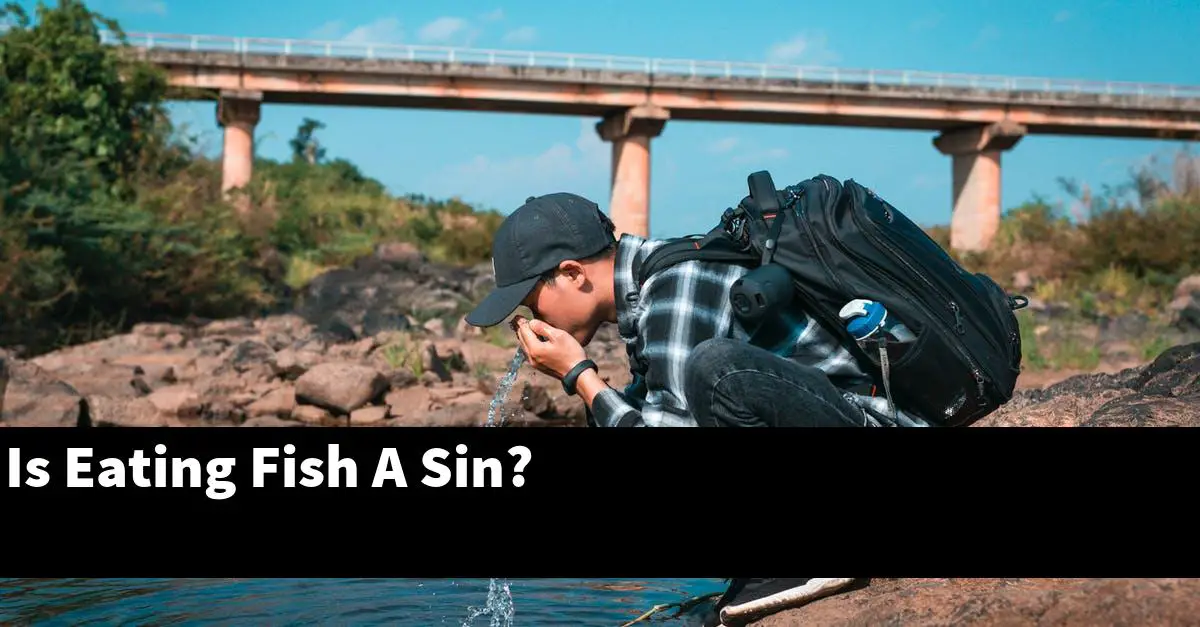 Is Eating Fish A Sin?