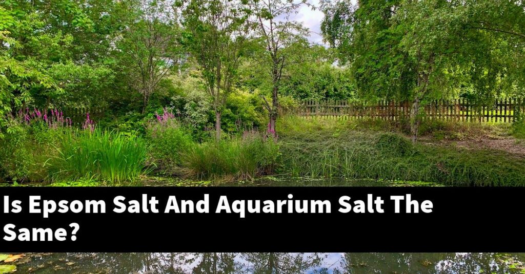 Is Epsom Salt And Aquarium Salt The Same? [2025 Guide] - Gold Koi Fish