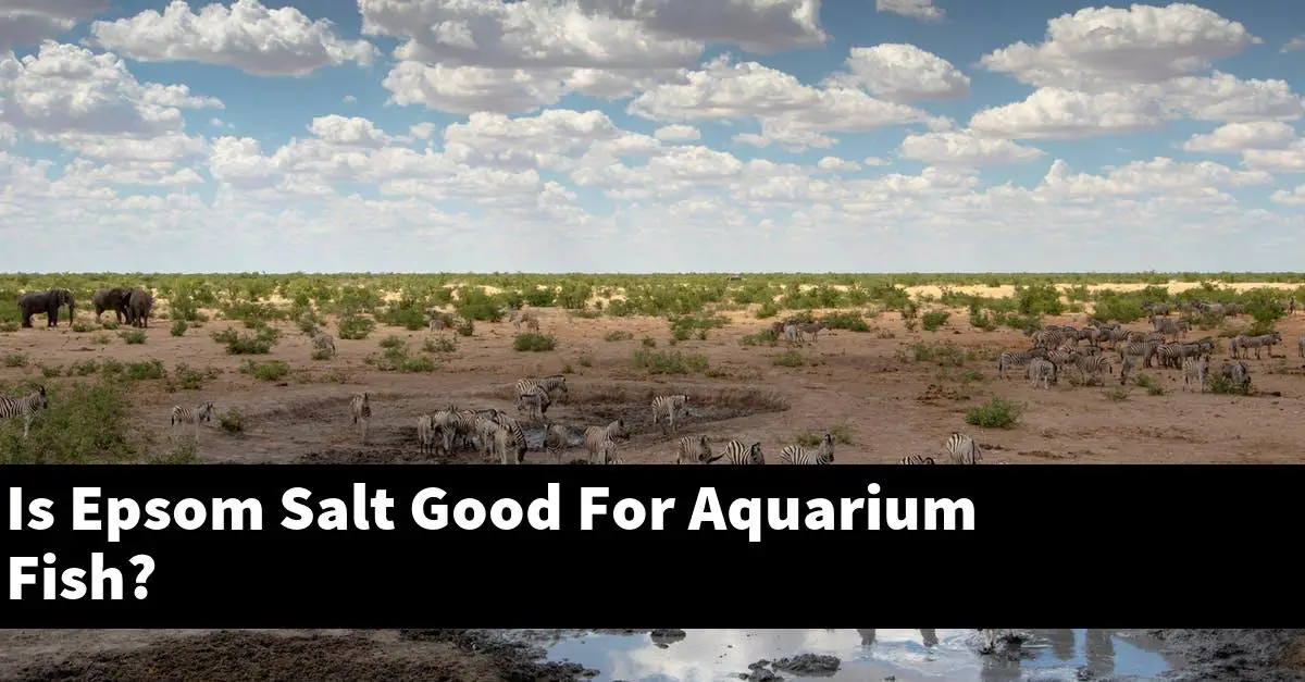 Is Epsom Salt Good For Aquarium Fish?