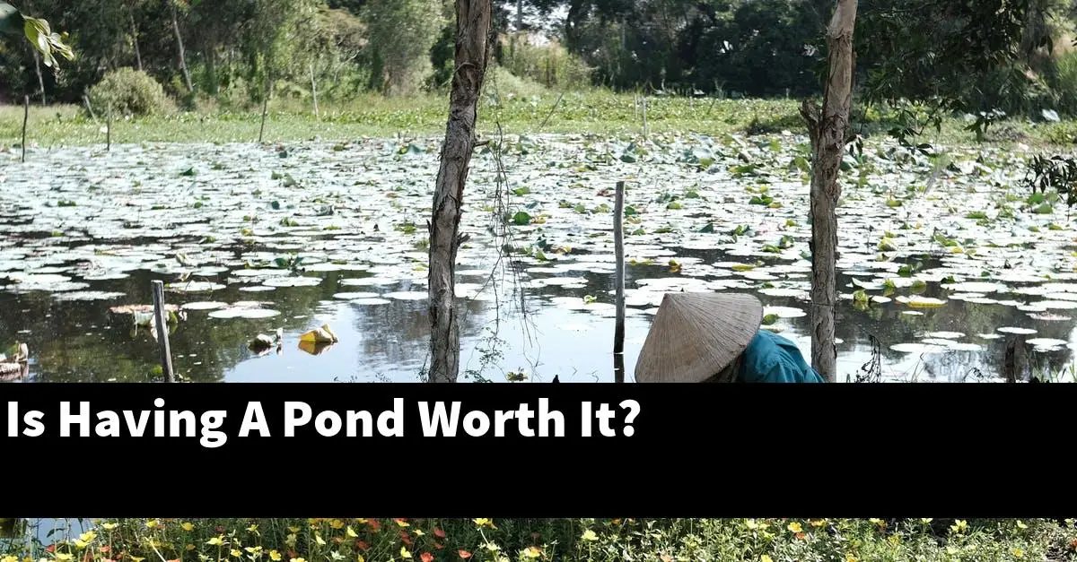 Is Having A Pond Worth It?