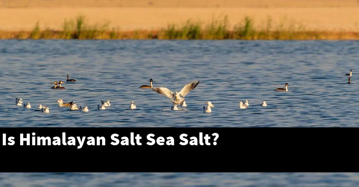 Is Himalayan Salt Sea Salt?