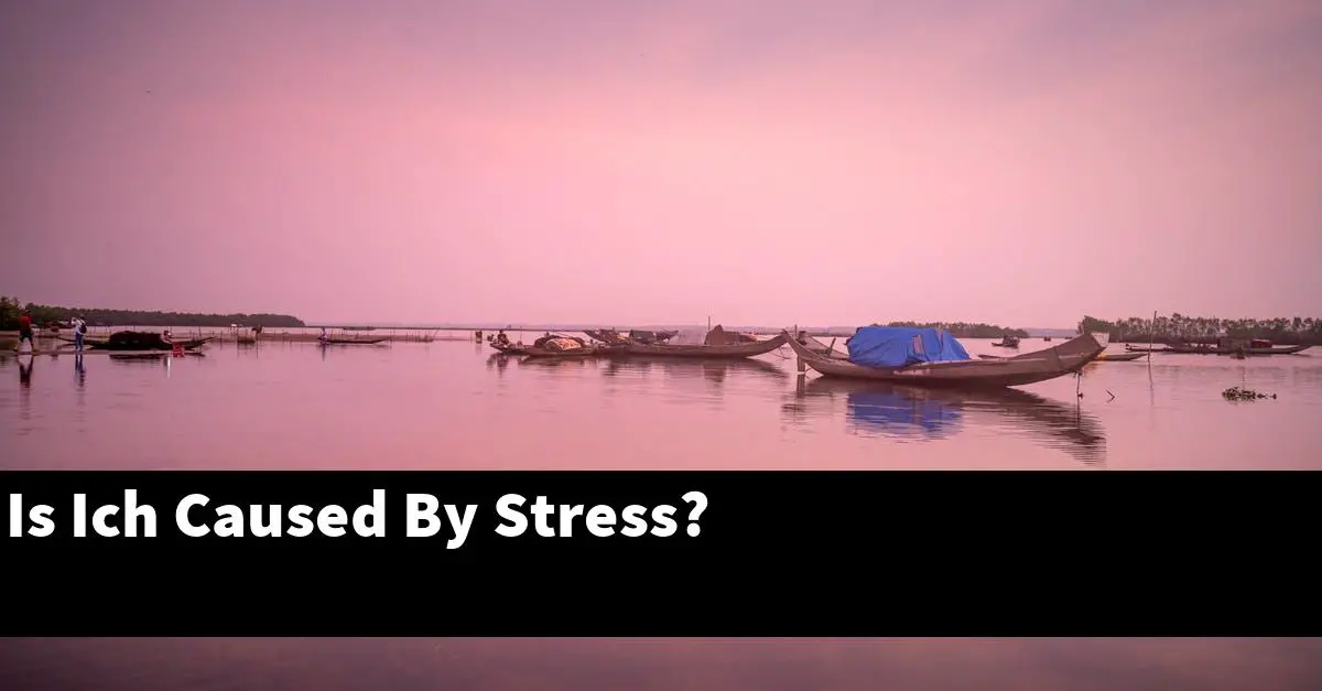 Is Ich Caused By Stress?