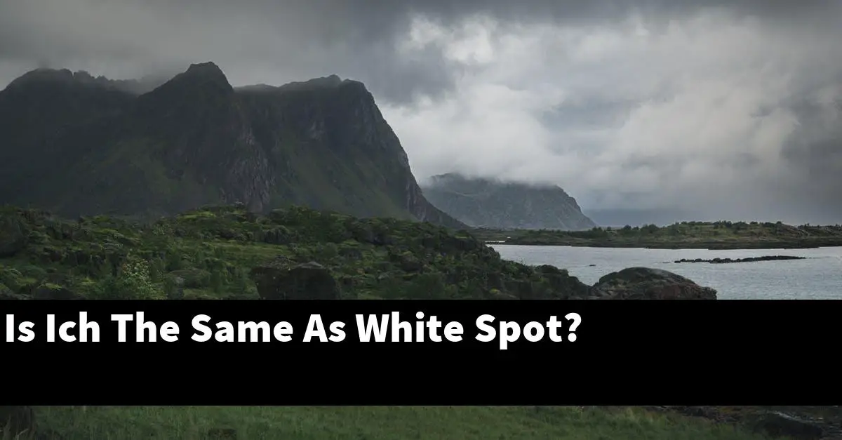 Is Ich The Same As White Spot?