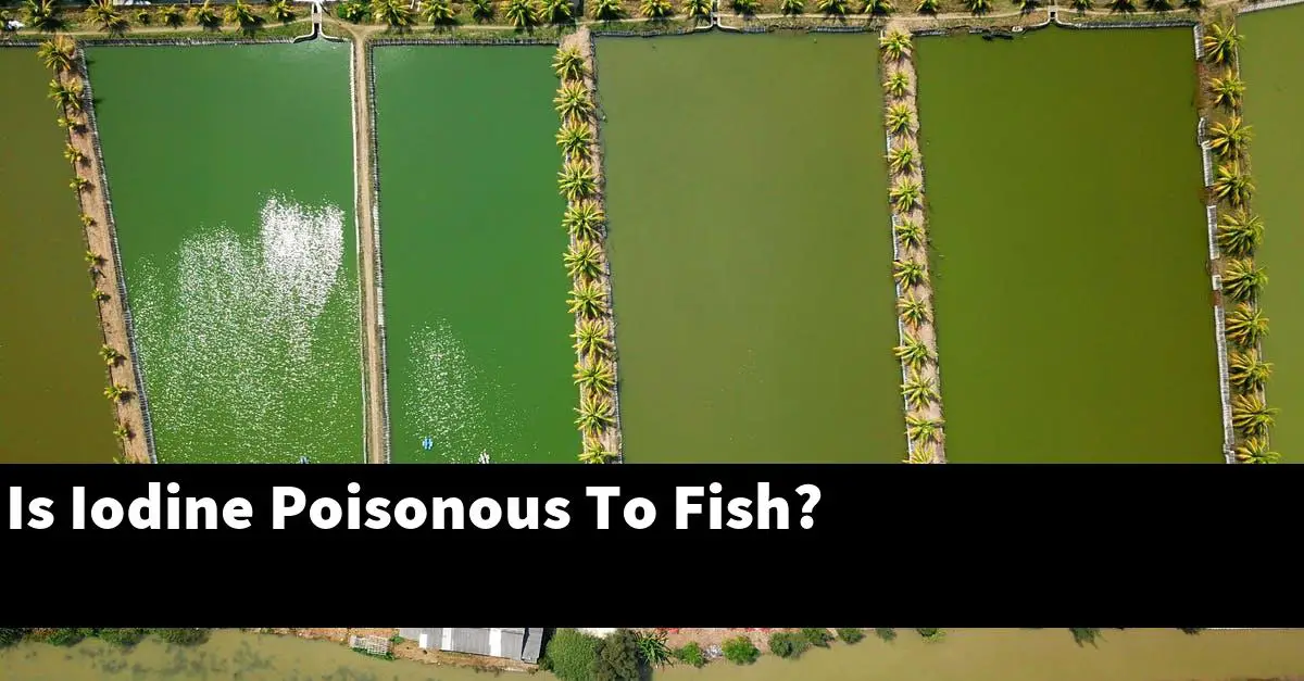 Is Iodine Poisonous To Fish?