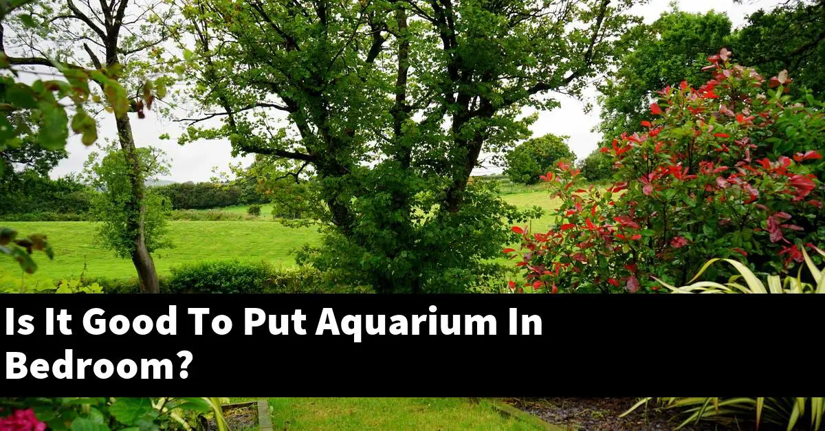 Is It Good To Put Aquarium In Bedroom?