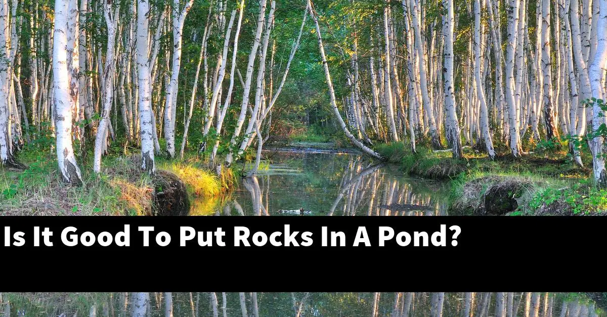 Is It Good To Put Rocks In A Pond?