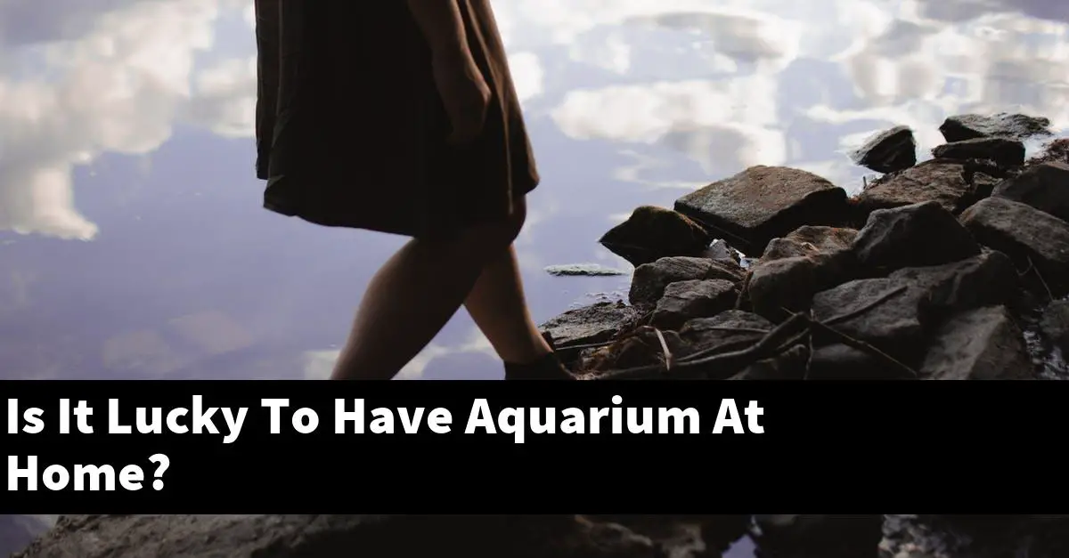 Is It Lucky To Have Aquarium At Home?