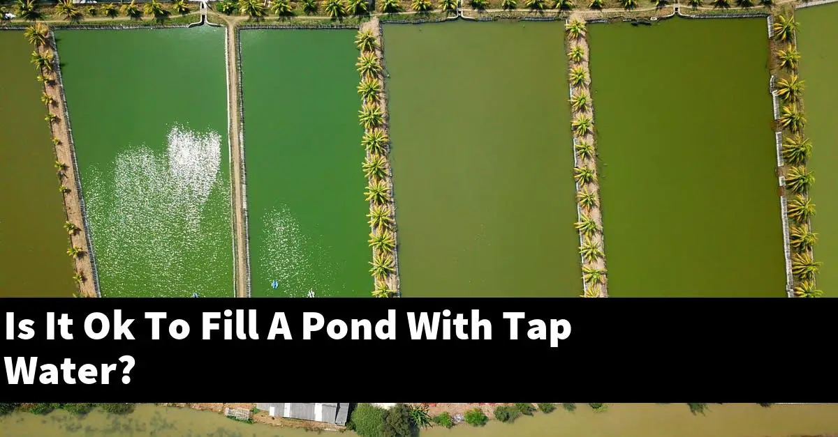 Is It Ok To Fill A Pond With Tap Water?