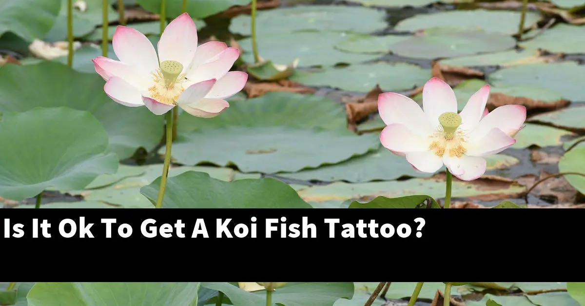Is It Ok To Get A Koi Fish Tattoo?