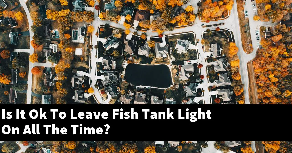 Is It Ok To Leave Fish Tank Light On All The Time?