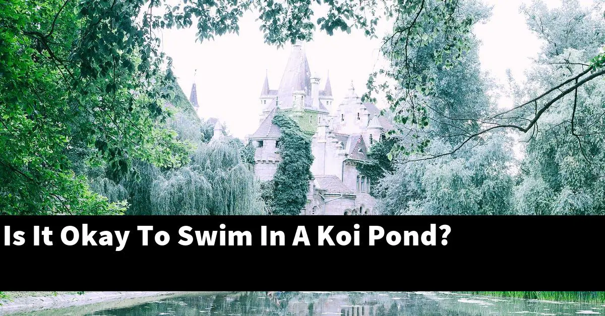 Is It Okay To Swim In A Koi Pond?