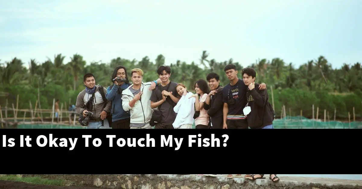 Is It Okay To Touch My Fish?
