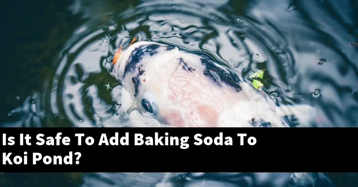 Is It Safe To Add Baking Soda To Koi Pond?