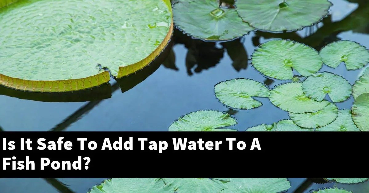 Is It Safe To Add Tap Water To A Fish Pond?