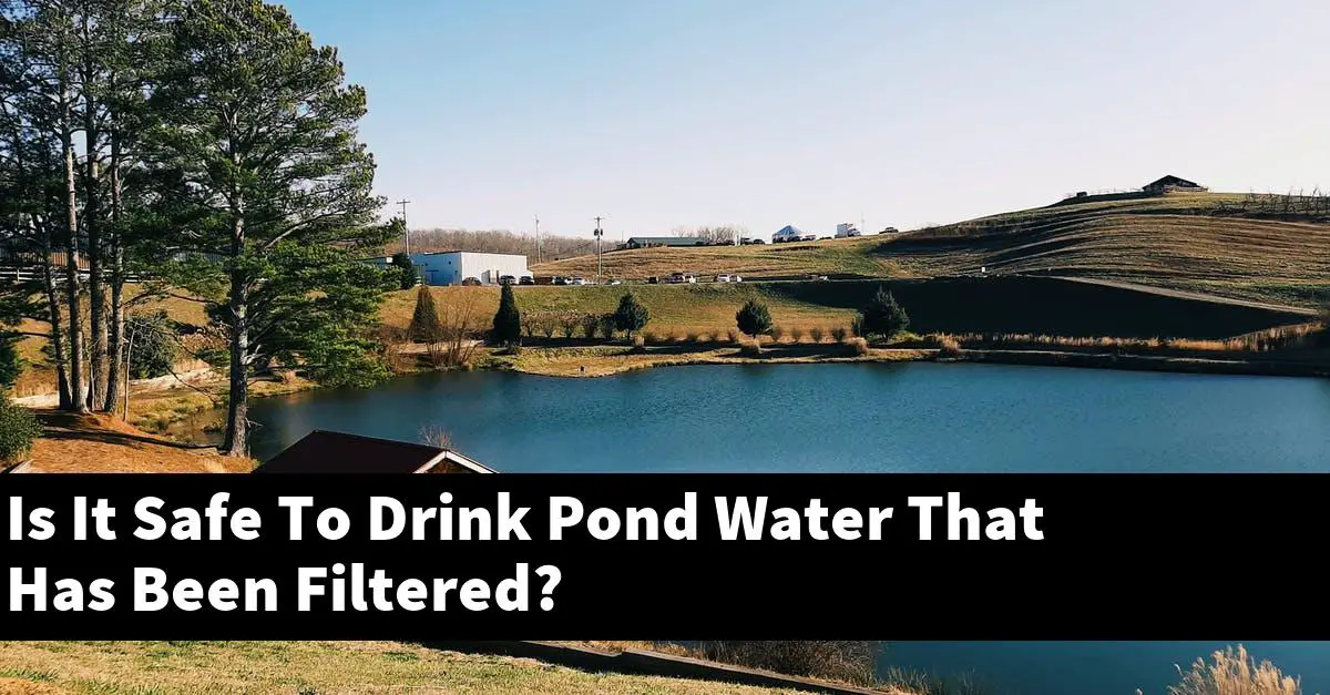 Is It Safe To Drink Pond Water That Has Been Filtered?