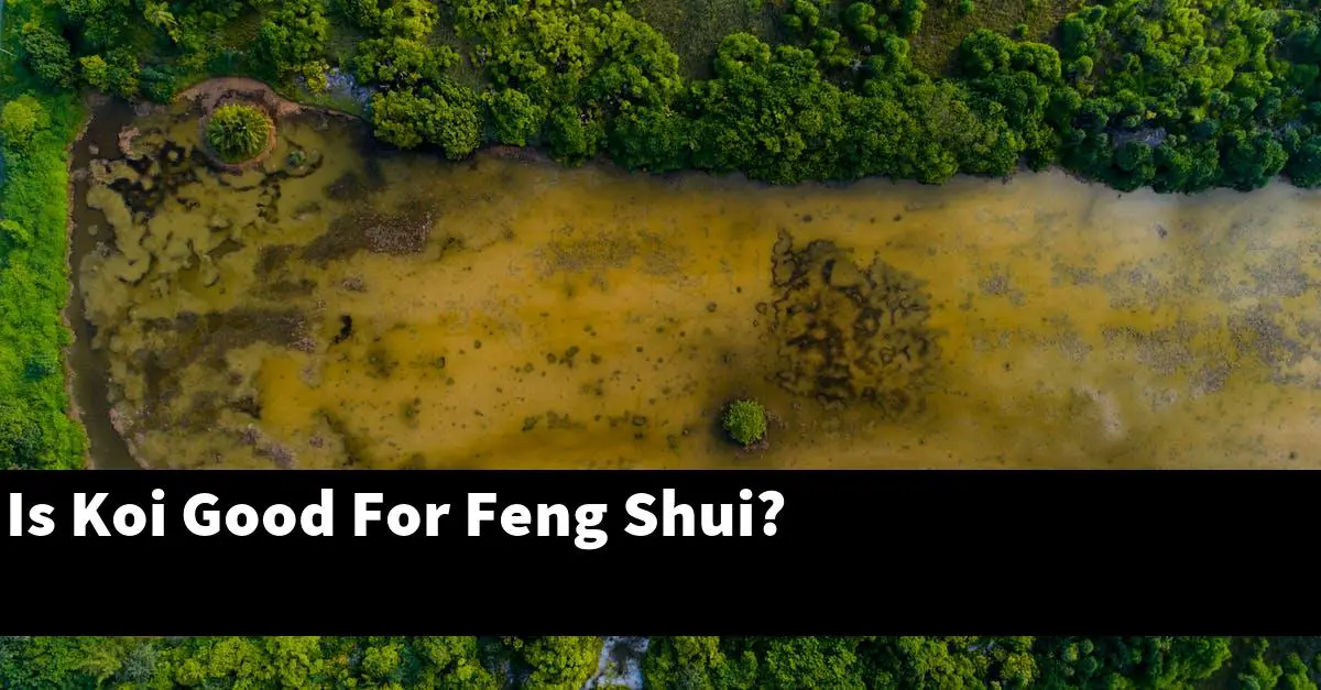 Is Koi Good For Feng Shui?