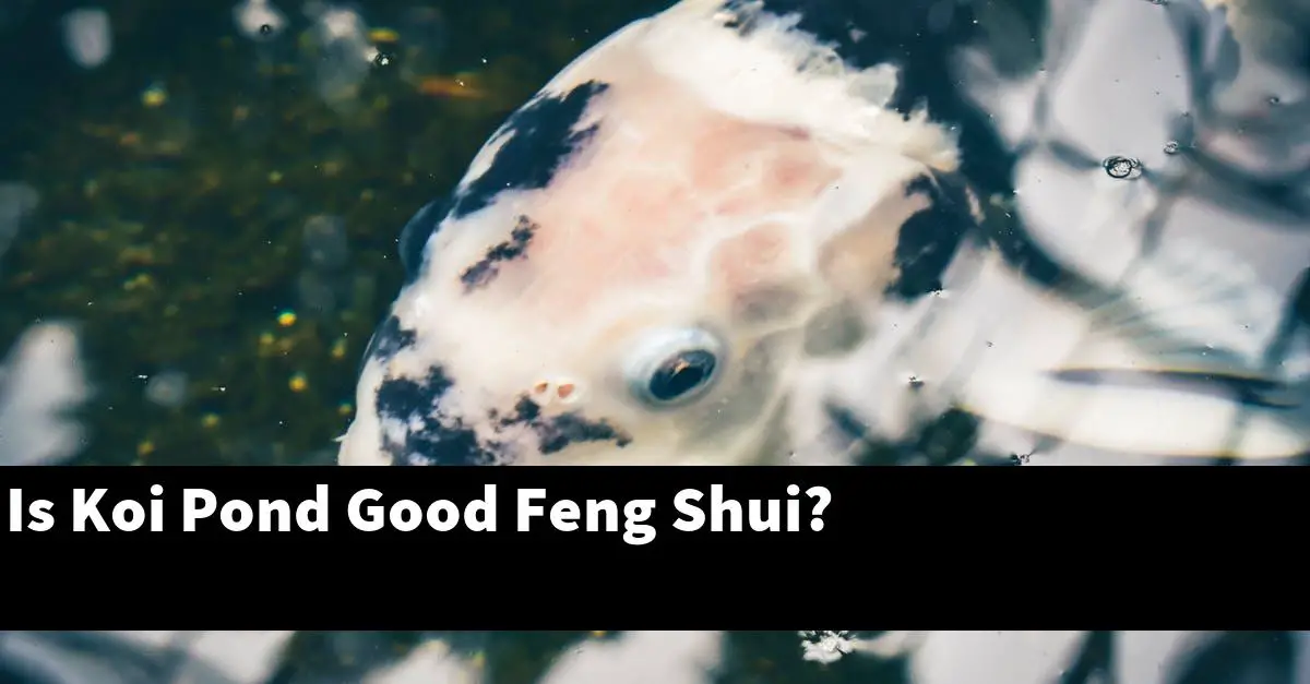 Is Koi Pond Good Feng Shui?