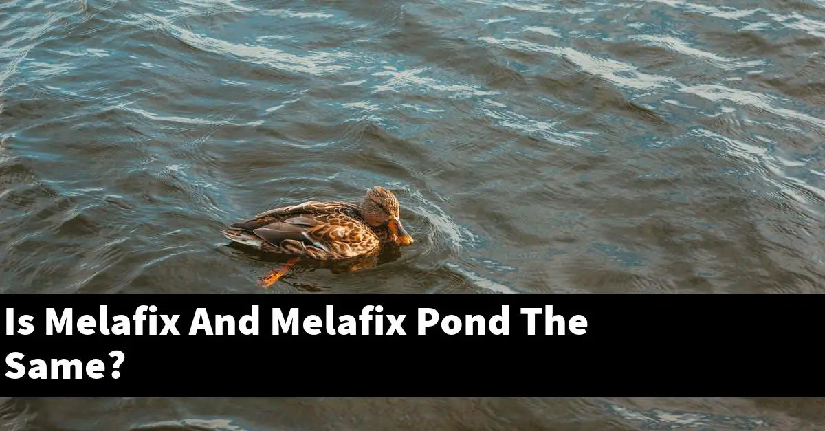 Is Melafix And Melafix Pond The Same?