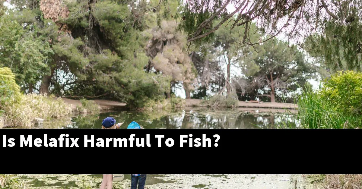Is Melafix Harmful To Fish?
