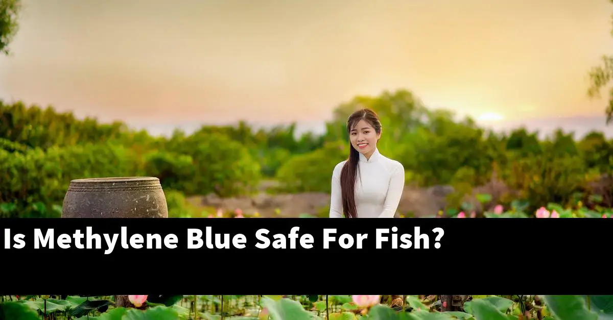 Is Methylene Blue Safe For Fish?