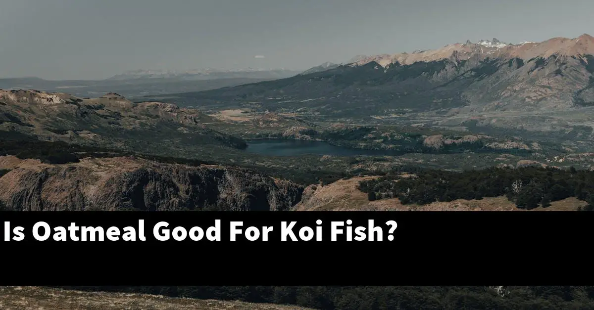 Is Oatmeal Good For Koi Fish?