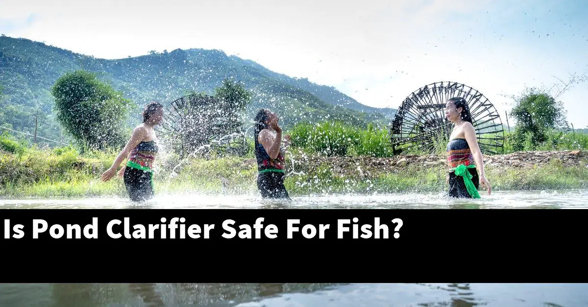Is Pond Clarifier Safe For Fish?