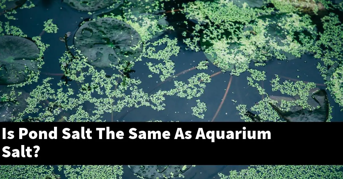 Is Pond Salt The Same As Aquarium Salt?