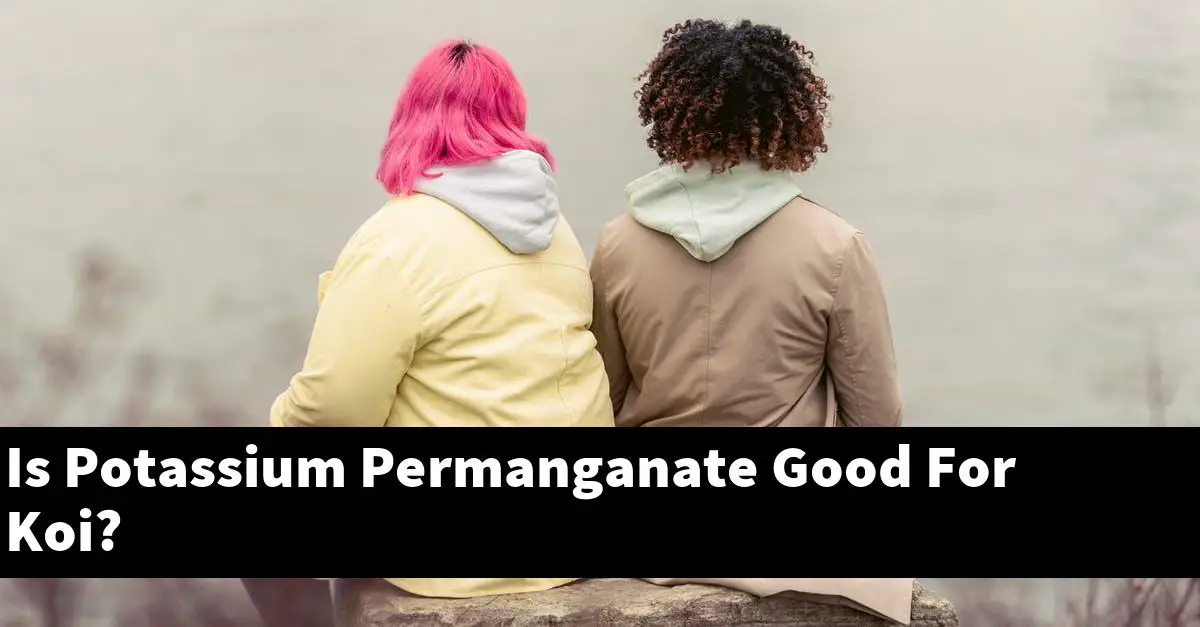 Is Potassium Permanganate Good For Koi?