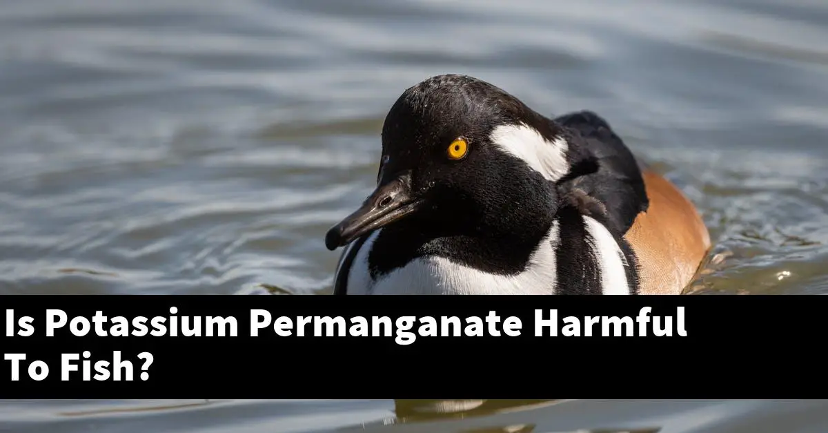 Is Potassium Permanganate Harmful To Fish?