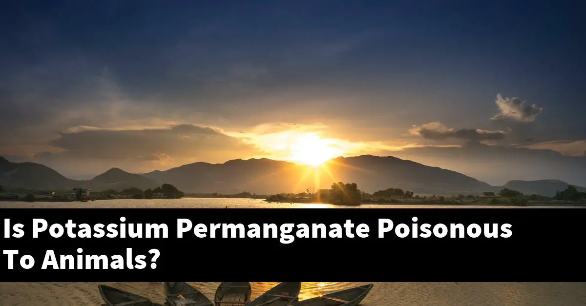 Is Potassium Permanganate Poisonous To Animals?