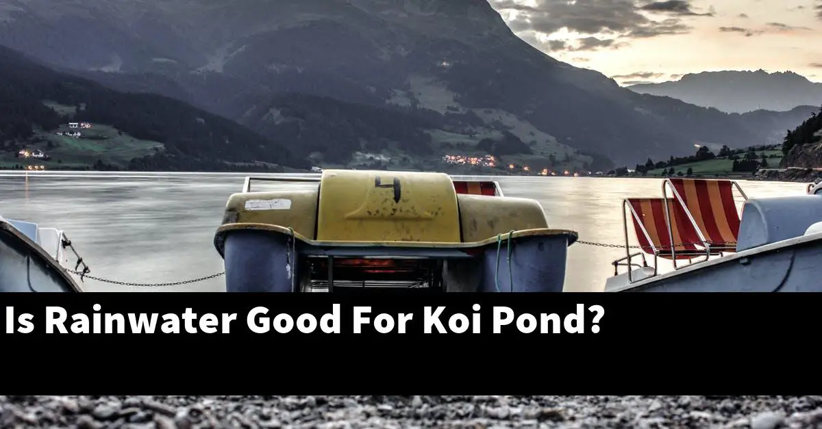 Is Rainwater Good For Koi Pond?