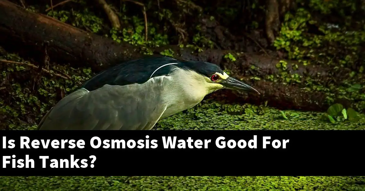Is Reverse Osmosis Water Good For Fish Tanks?