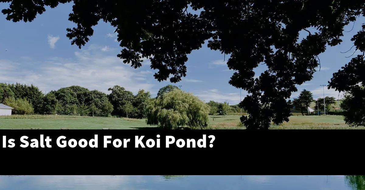 Is Salt Good For Koi Pond?