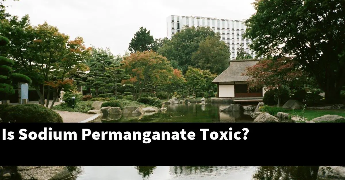 Is Sodium Permanganate Toxic?