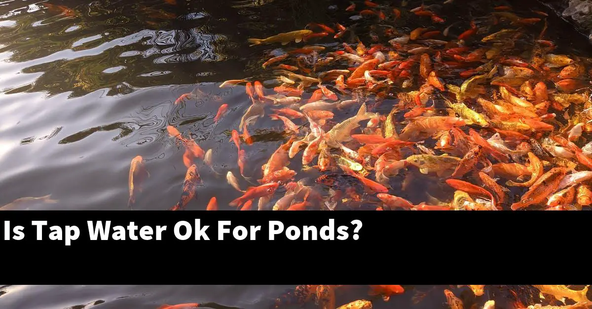 Is Tap Water Ok For Ponds?