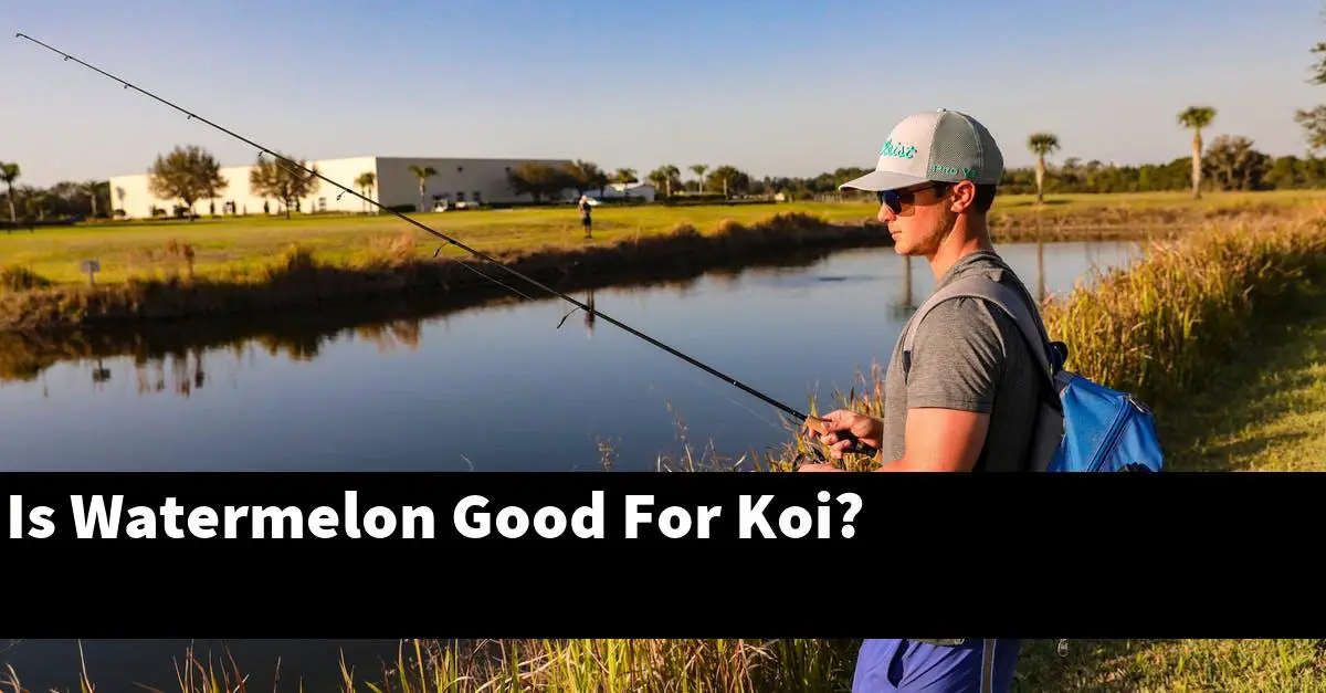Is Watermelon Good For Koi?