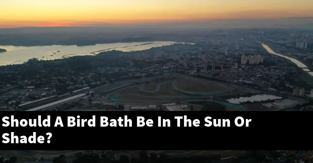Should A Bird Bath Be In The Sun Or Shade?